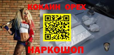 амф Новозыбков
