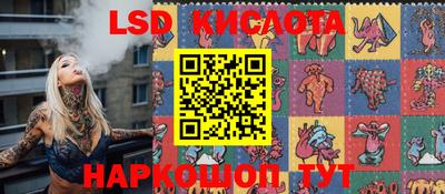 спиды Новодвинск