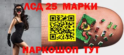 амф Новозыбков