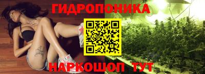 спиды Новодвинск