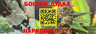 амф Новозыбков