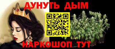 спиды Новодвинск
