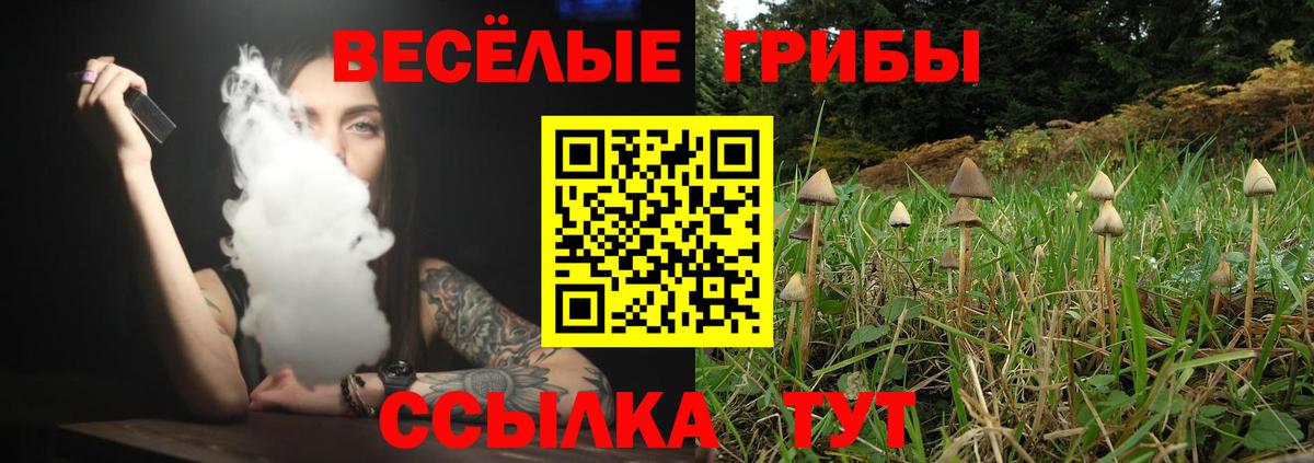 как найти наркотики  Псилоцибиновые грибы Cubensis  Вход с VPN  Галлюциногенные грибы прущие грибы  Шарыпово 