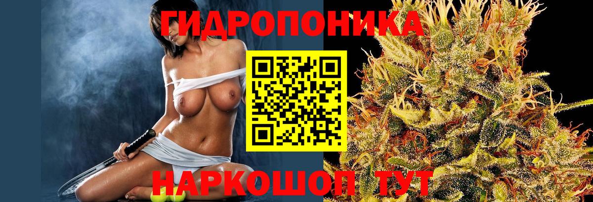 Шарыпово  Бошки марихуана марихуана  Вход с VPN  Бошки марихуана Bruce Banner  Бошки марихуана OG Kush  Марихуана THC 21% 
